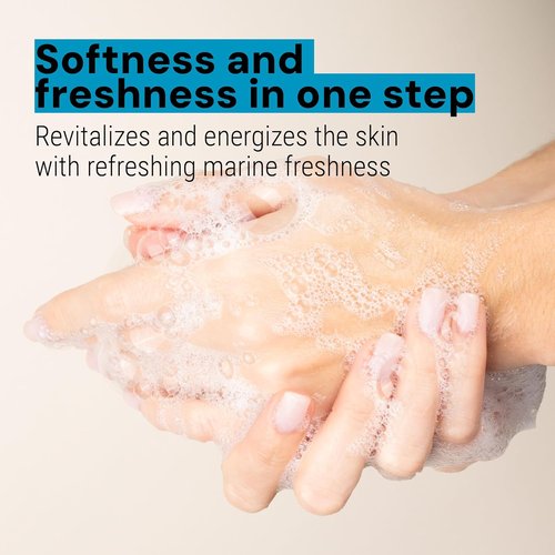 Panier des Sens - Fresh Sea Fennel Hand Soap - Moisturizing & Refillable - 97% Natural - 16.9 Fl Oz
