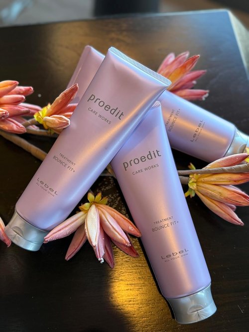 Lebel Proedit Care Works Bounce Fit+ Hair Treatment Mask - Deep Moisture & Elasticity for Damaged Hair | 8.4 oz