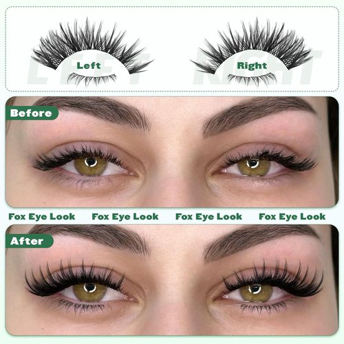 Cat Eye Lash Clusters with Bottom Lashes Bunny Lash Clusters Natural Cluster Eyelash Extensions Spiky Eyelash Clusters 10-18mm Left & Right Lash Extension C Curly Fox Eye Individual Lashes by BXMZKD