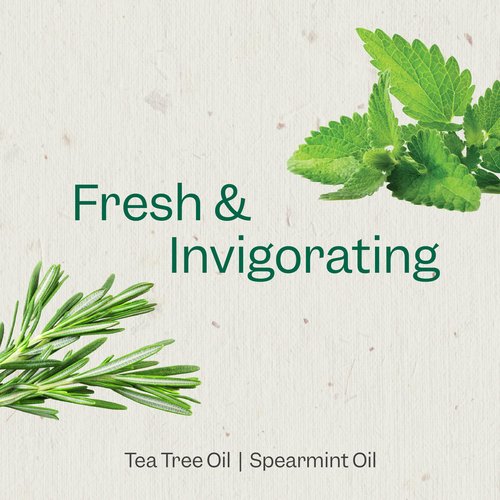 Renpure Tea Tree & Mint Body Wash - Cleanses, Invigorates & Refreshes Skin Without Over-Drying - For All Skin Types - Tea Tree Leaf Oil, Spearmint Leaf Oil - 24 Fl Oz each, 2 Pack