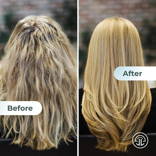 JES+LOU Hydrating Shampoo - Sulfate Free, Paraben Free Formula for Dry/Damaged Hair | 10 oz