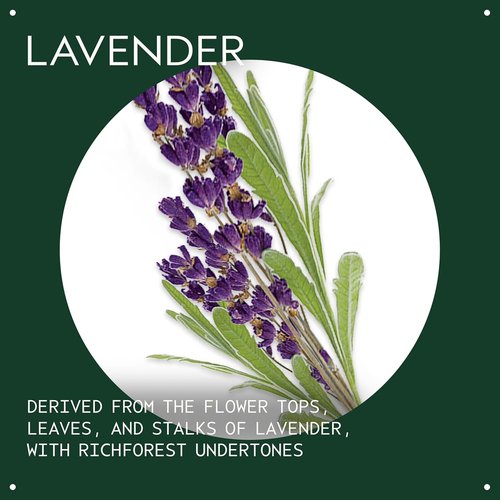 Aveda Lavender Essential Oil - Calming Aroma for Body & Bath | 1 Fl Oz