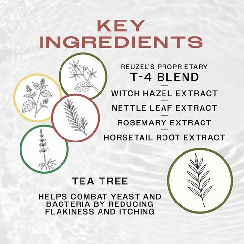 Reuzel 3-In-1 Tea Tree Shampoo - Deep Cleansing Formula for Hair and Body Care