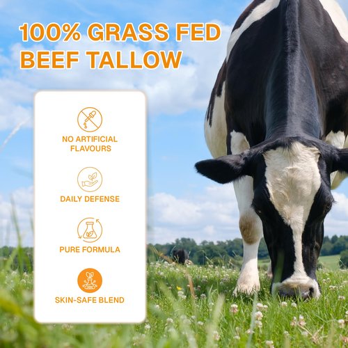 LUWORA Grass-Fed Beef Tallow Cream and Skin Cover Patches (72 Pcs) – Organic Moisturizing Tallow Balm for Face & Body, Whipped Tallow and Honey Balm Moisturizer, Anti Aging Skin Cream
