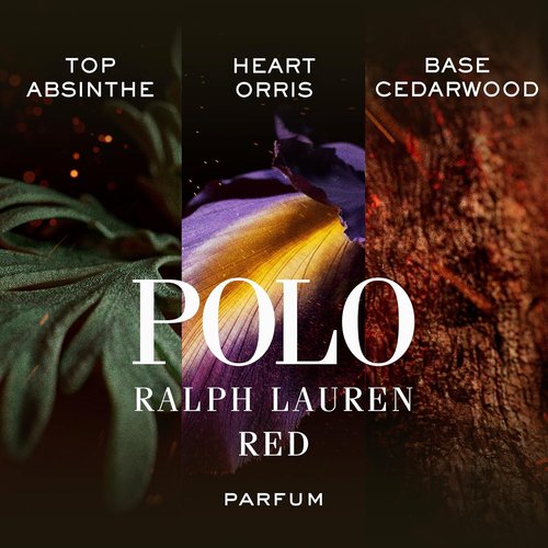 Ralph Lauren Fragrances - Polo Red Men's Cologne - Intense Ambery & Woody Parfum with Absinthe, Cedarwood, Musk