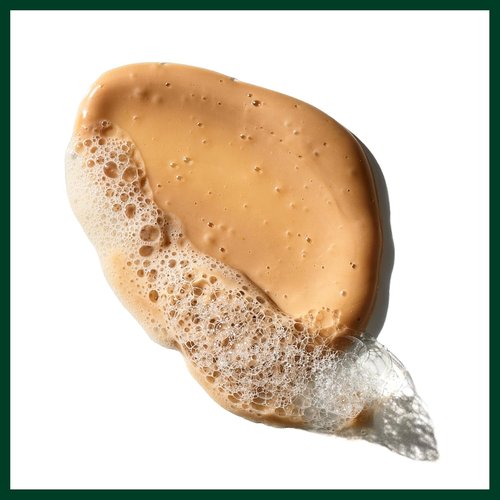 Aveda Sap Moss Weightless Hydration Shampoo - Gently Cleanses & Hydrates | Silicone-Free | 6.7 Fl Oz