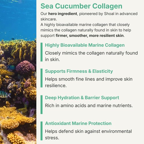 Shoal Sea Cucumber Collagen Serum - Firming & Hydrating Anti-Aging Serum with Peptides & Hyaluronic Acid (30ml)
