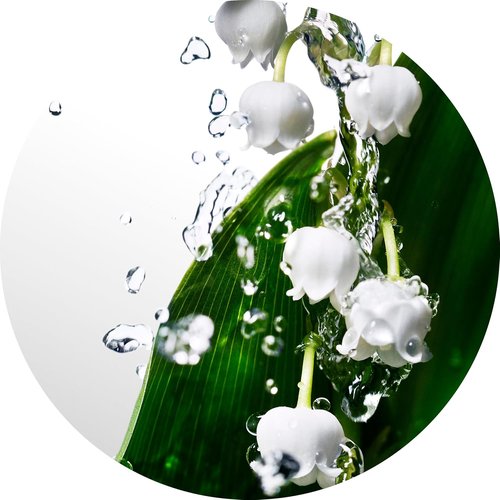 Davidoff Cool Water Eau de Toilette | Fresh Floral Women's Perfume with Watermelon & Lily Notes