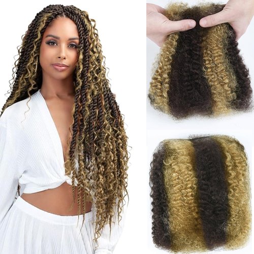 Afro Kinkys Bulk Human Hair For Braiding 18 inch Highlight 4/27 Afro Kinky Curly 100% Real Human Hair Bulk for Dreadlocks Mini Twist Crochet Braids Hair Extensions 50g/pack