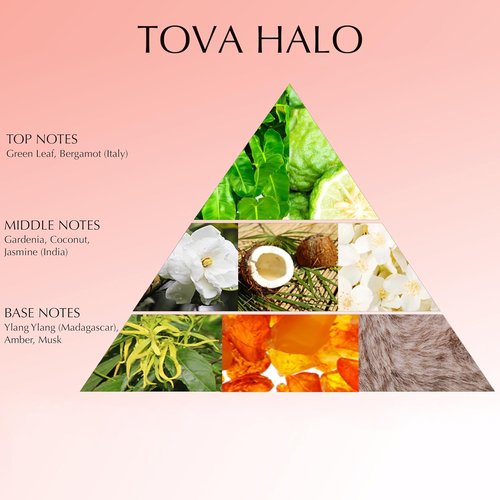Tova Halo Eau de Parfum - Floral Gourmand Women's Perfume with Jasmine, Coconut & Amber - 3.4 fl oz