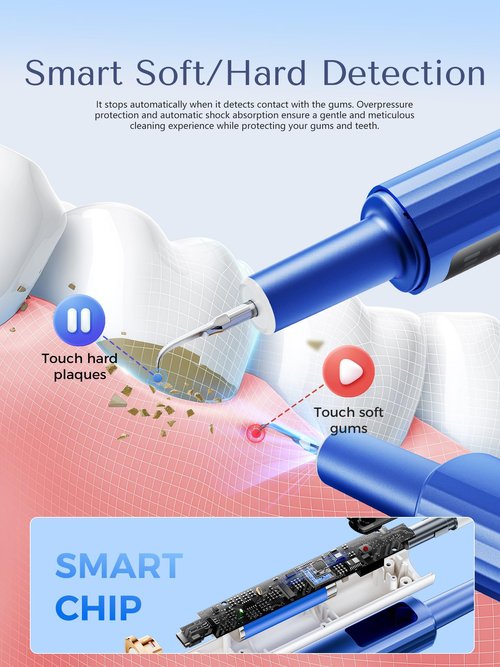 Plaque Remover for Teeth, Dental Tools, Teeth Cleaning Tools with 4 Replaceable Heads, 6-in-1 Dental Pick, LED Light, Waterproof, Rechargeable for Home & Travel Use