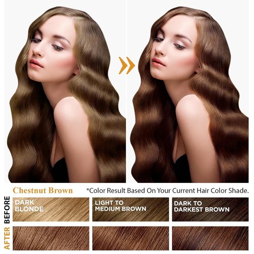 Chestnut Brown Hair Dye Shampoo by [Brand Name] - 3-in-1 Instant Color & Gray Coverage, 16.9 Fl Oz