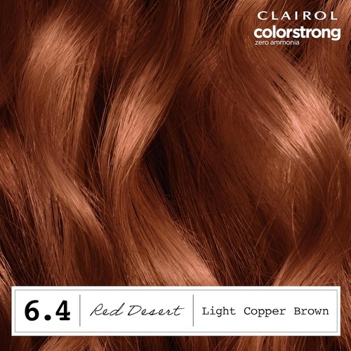 Clairol ColorStrong Permanent Hair Dye - Ammonia-Free, 100% Gray Coverage, 6.4 Light Copper Brown