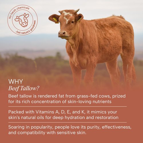 ALOVI Whipped Tallow Moisturizer – 100% Grass-Fed Beef Tallow for Face & Body – Infused with Manuka Honey, Calendula & Almond Oil – Warm Vanilla Scent