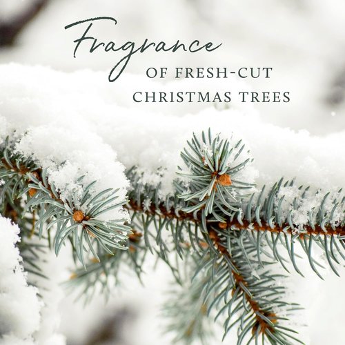 Thymes Home Fragrance Mist - Long-Lasting Air Freshener Spray | Crisp Siberian Fir & Cedarwood, 3 oz