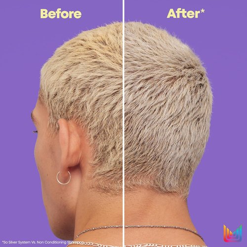 Matrix So Silver Deep Conditioning Conditioner - Revitalize Dull Blonde & Silver Hair | Vegan Formula for Dry, Damaged Hair