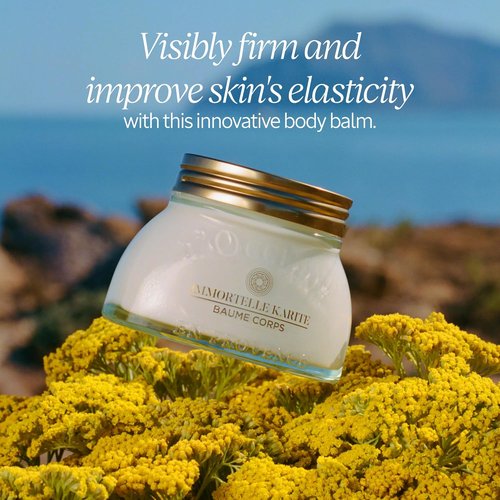 L'Occitane Immortelle Body Balm - Nourishing Shea Formula | 6.90 oz for Soft, Hydrated Skin