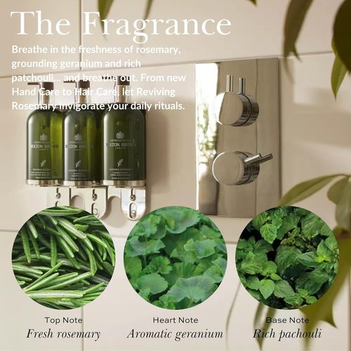 Molton Brown Reviving Rosemary Bath & Shower Oil-In-Gel | 10 Fl. Oz. for Refreshing Cleanliness