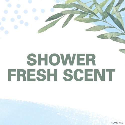 Secret Antiperspirant and Deodorant for Women, 24hr Sweat & Odor Protection, PH Balanced Protection, Gentle on Skin, Invisible Solid, Shower Fresh Scent, 2.6 oz (Pack of 4)