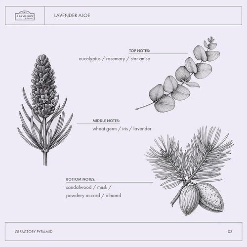 A LA MAISON Lavender Aloe Hand Soap - Natural Liquid Wash with Essential Oils | Biodegradable & Vegan (16.9 oz, 2 Pack)