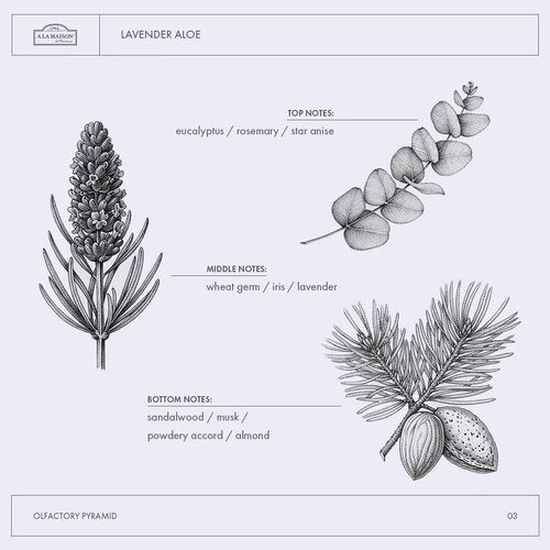 A LA MAISON Lavender Aloe French Liquid Hand Soap - Natural Hand Wash Made with Essential Oils - Biodegradable, Plant-Based, Vegan, Cruelty-Free, Alcohol & Paraben Free (16.9 oz, 2 Pack)