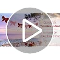 Pink Velvet Bow Garland 8.2FT Wall & Window Decoration for Party & Holidays
