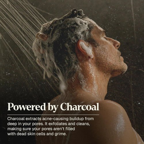 Black Wolf Men's Shampoo - Charcoal-Infused Oil Control Formula for Oily Hair, 12 Fl Oz | Nourishes & Hydrates Scalp