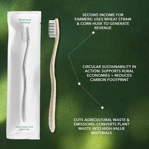 Terra & Co. Gentle Green Toothbrushes – 10-Pack of Plastic-Free Toothbrushes with Soft Bristles for Sensitive Teeth & Gums – Individually Sealed – BPA-Free, Plant-Based, Eco-Friendly & Travel-Ready