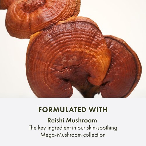 Origins Mega-Mushroom Micellar Cleanser - Gentle Formula for Sensitive Skin | Infused with Reishi Mushroom, 6.7 Fl Oz