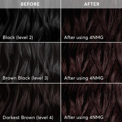 Madison Reed Radiant Hair Color Kit - 4NMG Darkest Chocolate Brown | PPD-Free & Ammonia-Free Permanent Dye