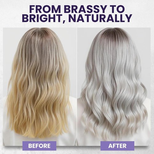Skiennix Tea Tree Purple Shampoo & Conditioner Set - Professional Anti-Brass Toner for Blonde & Gray Hair | Sulfate-Free, Refreshing Rosemary & Aloe Formula