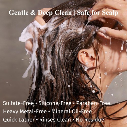 Dear Irean Shampoo and Conditioner Set, Sulfate Free Anti Dandruff Oil Control Repair Shampoo and Conditioner with Argan Oil for Women, Hair Gloss Treatment for Oily, Dry, Damaged & Curly Hair, 27 Oz