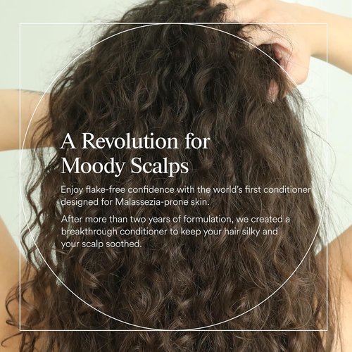 Dermazen Nourishing Conditioner for Dry Scalp - Steroid-Free & Malassezia-Safe | Hydrates & Smooths | 8 fl oz