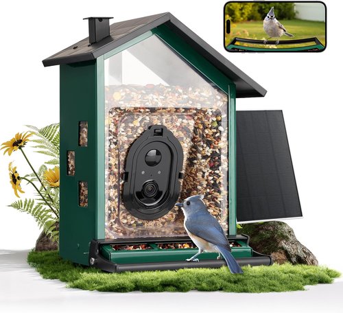 TT Nature Smart Bird Feeder - Solar-Powered Camera with AI Bird Identification | 3.2L Capacity, Green