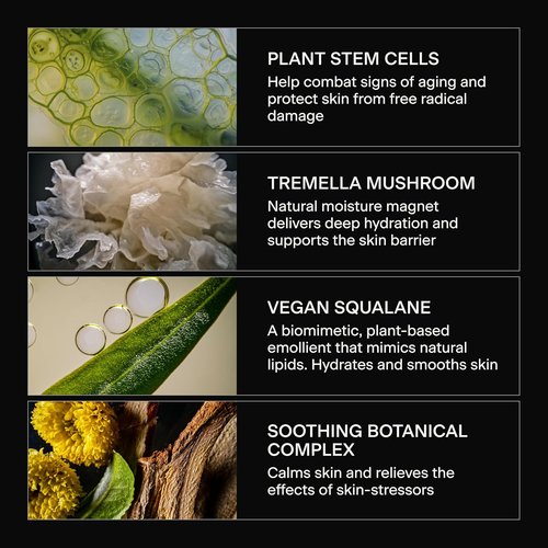 Caldera + Lab The Base Layer - Men's Organic Face Cream Moisturizer for All Skin Types | Vegan & Antioxidant-Rich
