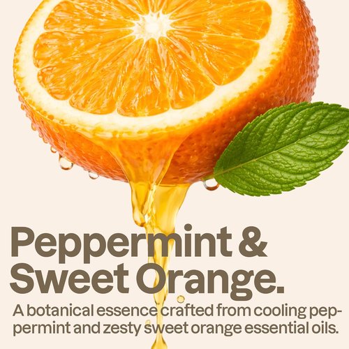 ATTITUDE Hydrating Shampoo - Nourishing Formula for Dry Scalp & Dehydrated Hair | Peppermint & Sweet Orange, 16 Fl Oz