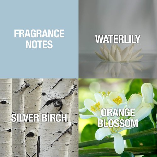 Alfred Sung SHI Eau De Parfum Spray - Elegant Women's Fragrance, 1.7 Fl Oz