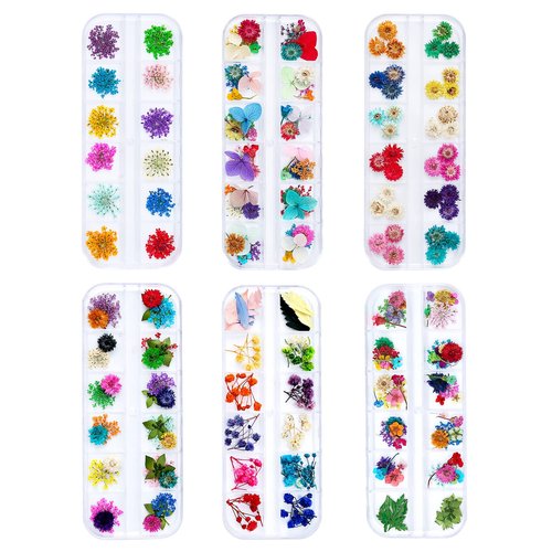 iFancer Dried Flowers for Resin Craft Nail Art Mix Small Mini Dry Flowers (Pack of 6 Boxes, About 260 PCS)
