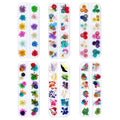 iFancer Dried Flowers for Resin Craft Nail Art Mix Small Mini Dry Flowers (Pack of 6 Boxes, About 260 PCS)