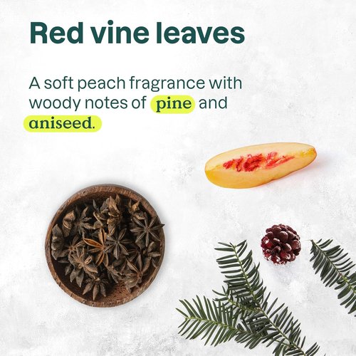 ATTITUDE Plastic-Free Deodorant - EWG Verified, Aluminum-Free, Vegan, Vine Leaves & Pomegranate, 3 Oz