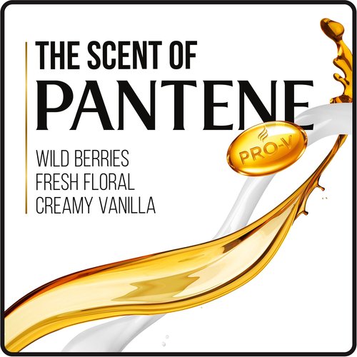 Pantene Pro-V Repair & Protect Shampoo, 12.6 Fl Oz (Pack of 6)