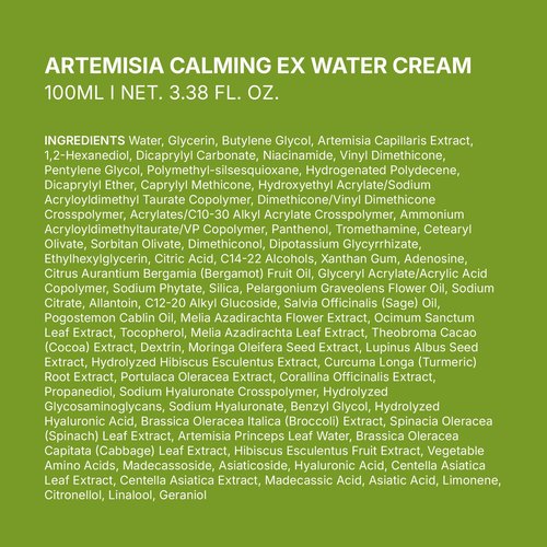BRING GREEN Artemisia Calming EX Water Cream 100mL