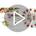 Mini Resin Fruit Cabochons - 60PCS Flatback Fruit Nail Charms for Crafts, Slime, Scrapbooking, DIY Embellishments - Fruit Variation
