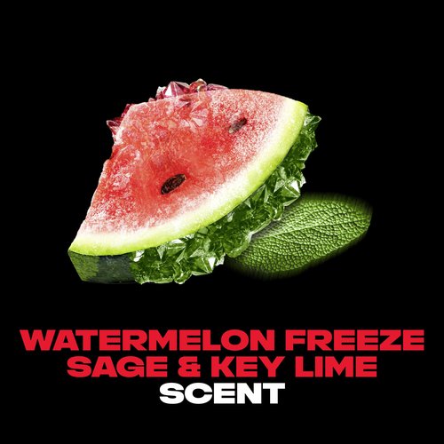 AXE Fine Fragrance Body Spray Variety Pack 4 Pack Touch of Sweetness - Cherry Spritz, Pure Coconut, Black Vanilla, Watermelon Freeze Aluminum Free 4 oz