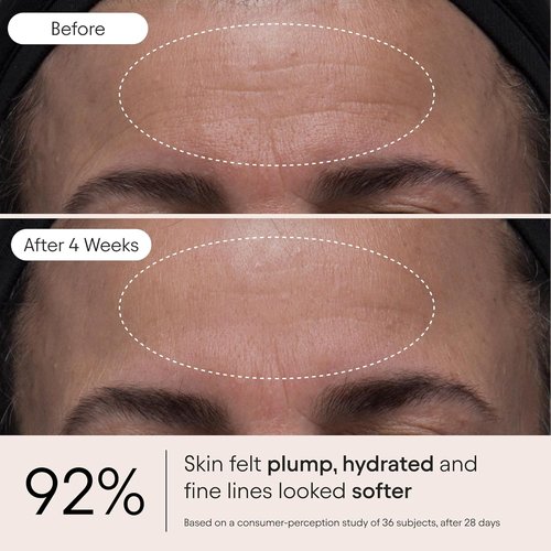 ALPYN Melt Moisturizer - Weightless Brightening & Plumping Hydration | Velvety Finish | 1.7 oz / 50 ml