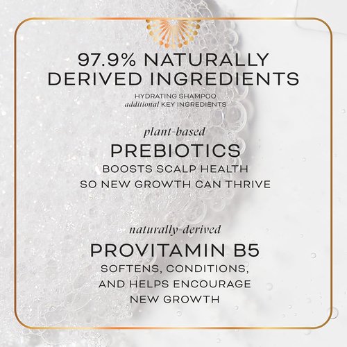 Chéribé Hydrating Shampoo - 100% Natural Chebe Complex & Prebiotics for Moisture - 8 fl oz