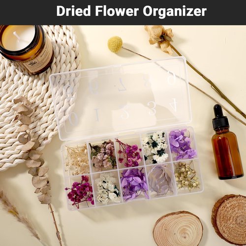Cosics Acrylic Fake Nail Organizer Case, 2PCS 10-Compartment Nail Tip Storage Box with Number, 10 Space Rhinestone Nail Art Accessories Container, Clear Plastic Nail Box for Jewelry Charms Gem Vitamin