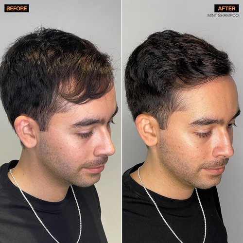 Redken Brews Mint Shampoo For Men - Soothing Menthol Formula for Refreshing Scalp & Hair, Energizing Mint Scent