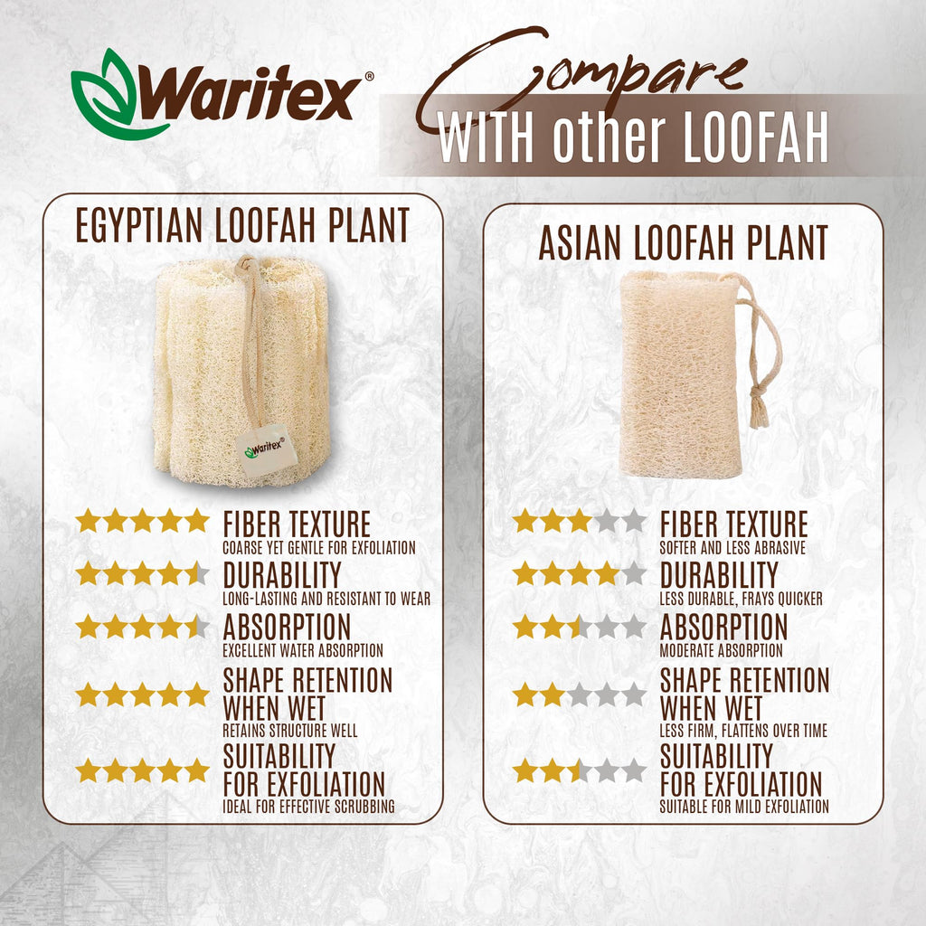 Waritex Premium Natural Egyptian Loofah Sponges, Made from 100% Natural Organic Material, Gentle Skin Exfoliation, and Full-Body Spa Experience – Eco-Friendly Loofah 2 Count (1 Pack)