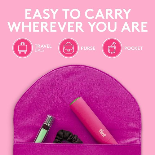 Flint Classic Mini Lint Roller - Retractable Design with 90 Extra Sticky Sheets | Portable Pet Hair Remover